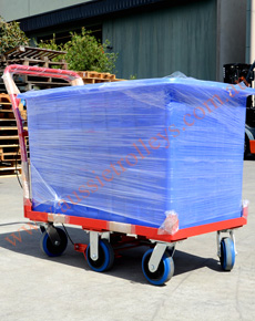 Tub and Dolly with Constant Brake