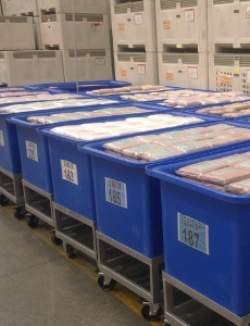 Spring-Loaded Trolley