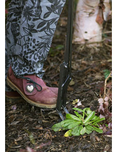 Farmhand Weeder (3)