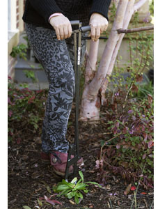 Farmhand Weeder (1)