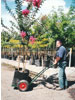 Nursery Handtruck 2