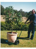 Nursery Handtruck