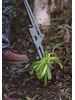 Farmhand Weeder (5) Farmhand Weeder (5)